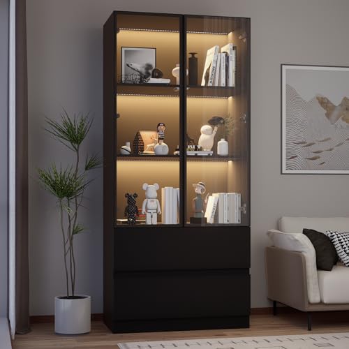 Glass Display Cabinet with LED Lights and 3-Tier Shelves Y843