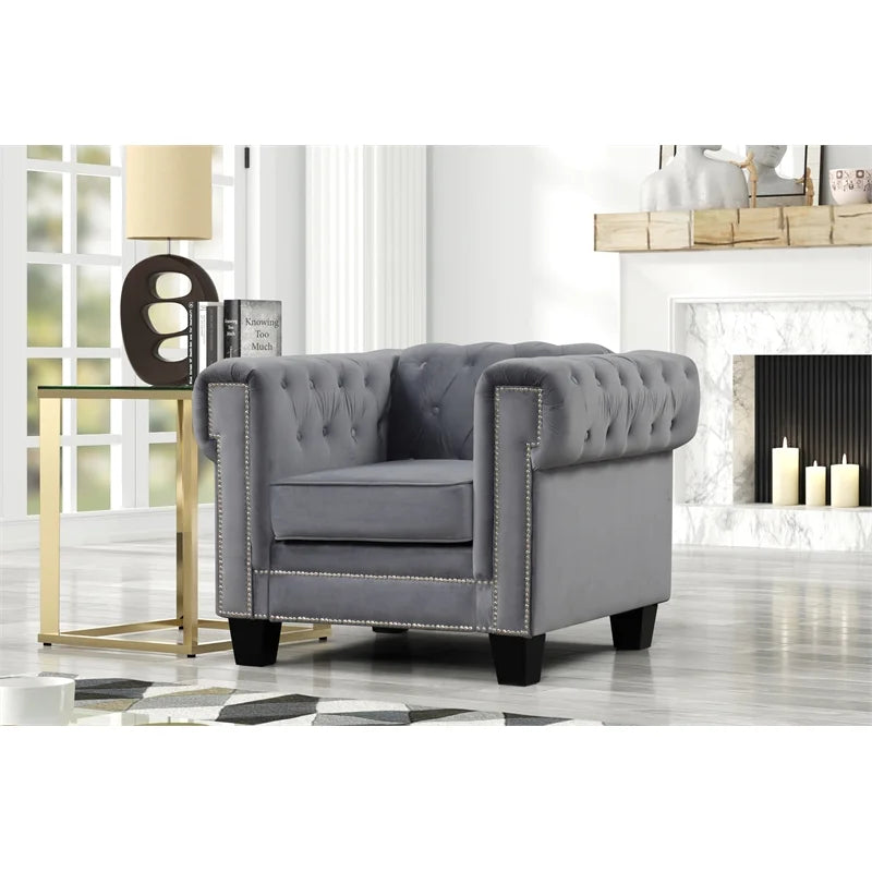 Rnfurnishings inc Arav 2-Piece Velvet Living Room Furniture Set - Gray P6242