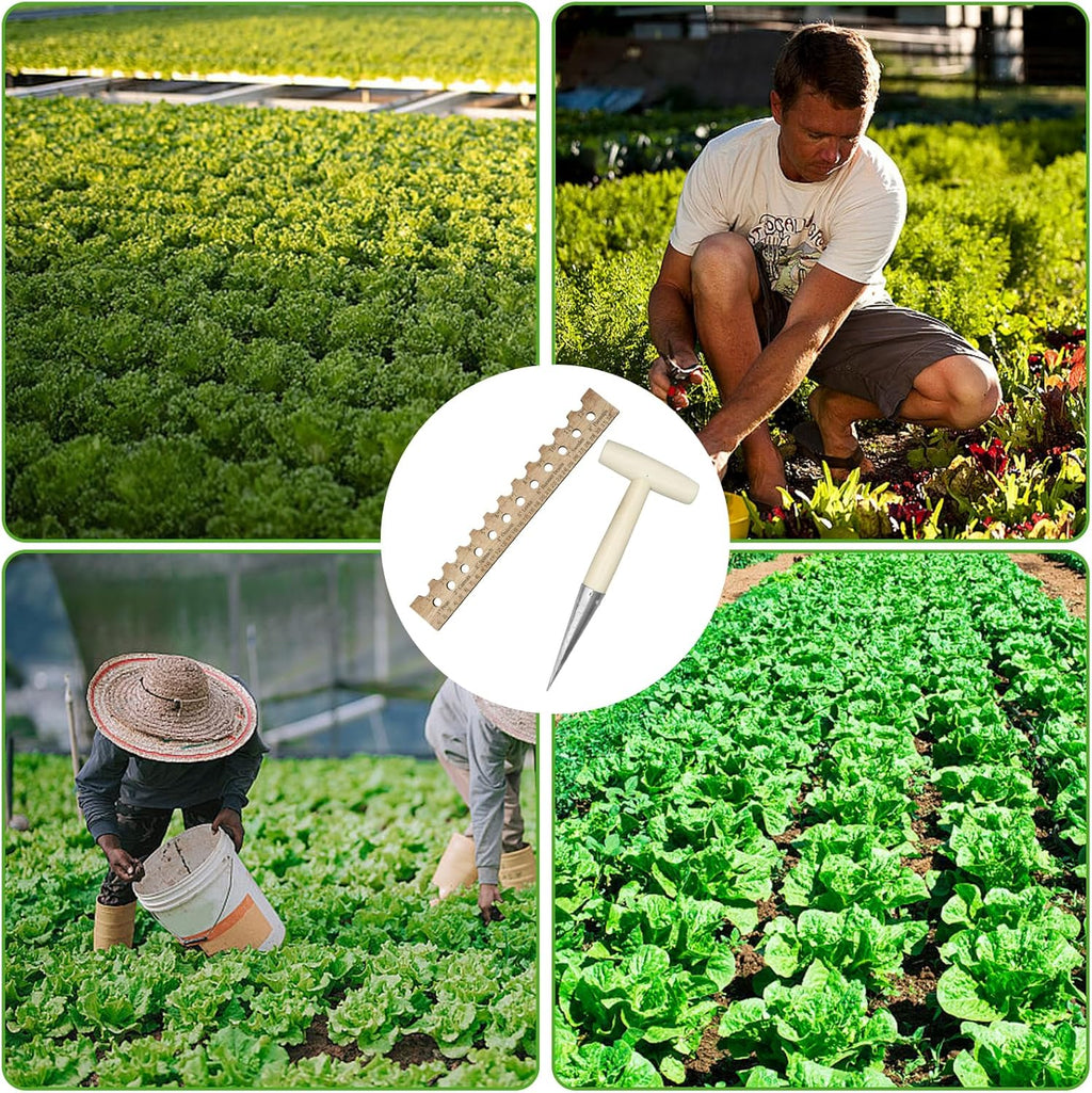 Seed Planter Tool Set with Dibber and Wooden Spacer Ruler A23297
