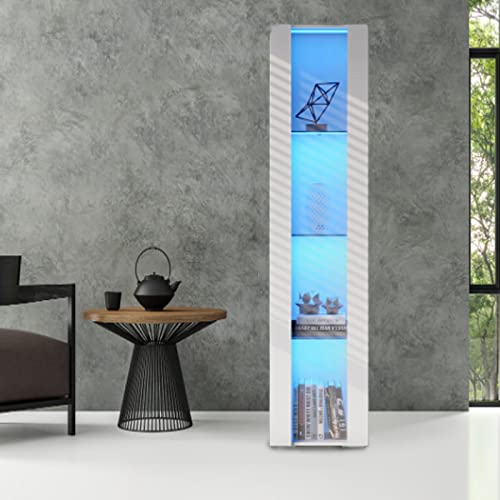 Modern 4-Shelves Display Cabinet with Clear Acrylic Door and LED Light C976