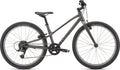 Specialized Jett 24 - Satin Smoke/Flake Silver