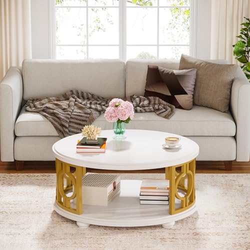 2-Tier Modern Round Coffee Table with Storage Shelf G2233