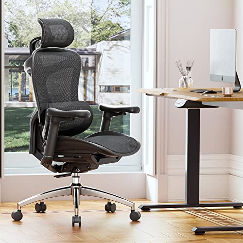 SIHOO Doro C300 Ergonomic Office Chair with 3D Armrests, Lumbar Support, Grey O604038