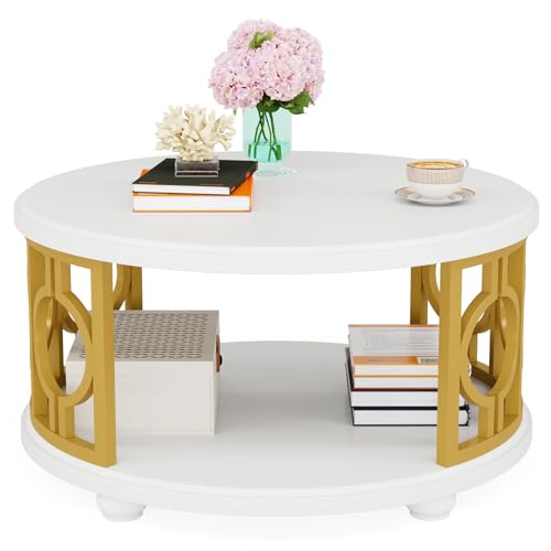 2-Tier Modern Round Coffee Table with Storage Shelf G2233