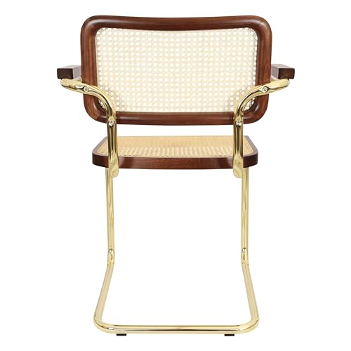 Cane Cantilever Armchair with Brass Steel Frame R937