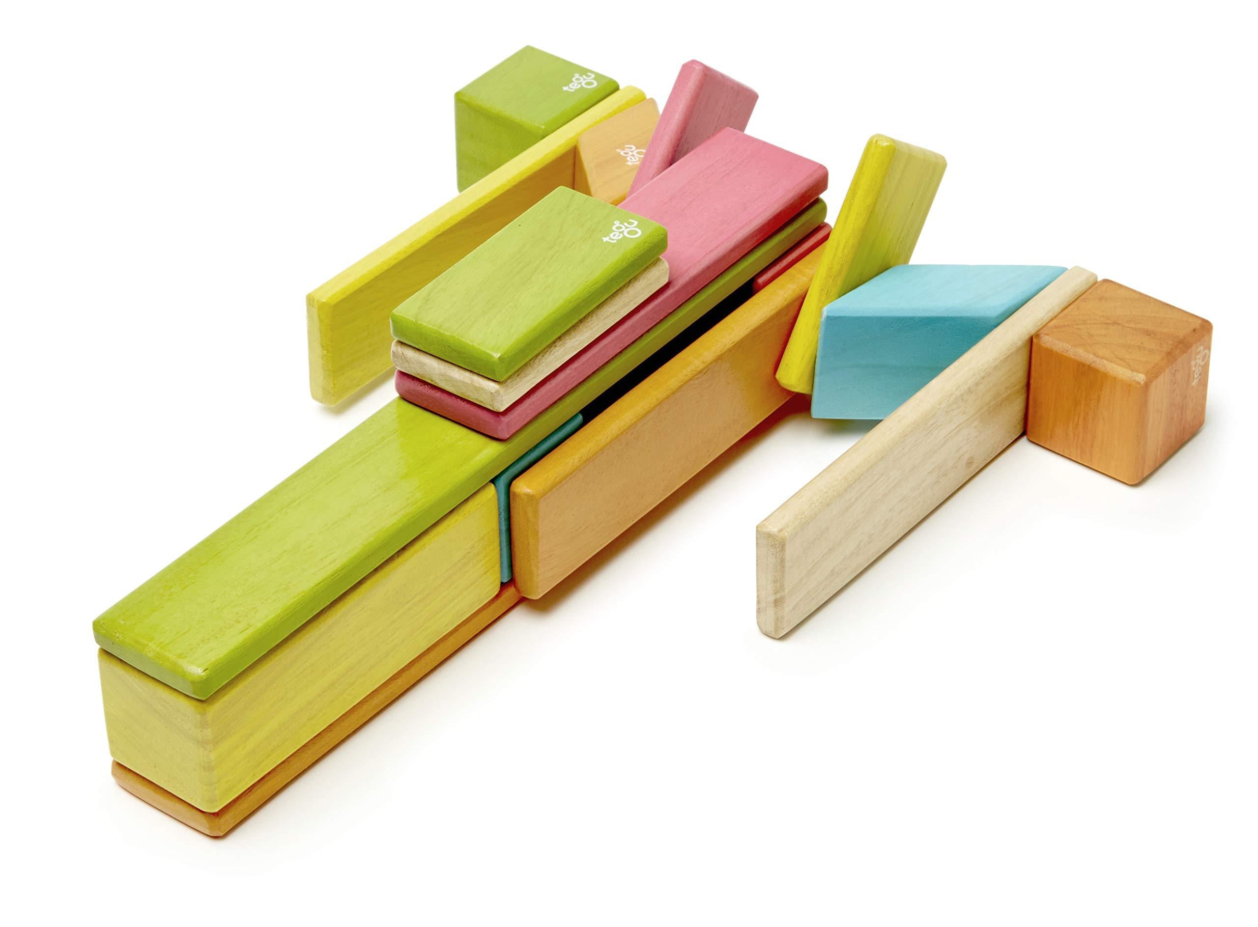 Tegu Magnetic Wooden Block Set, 24 Piece, Tints J9033