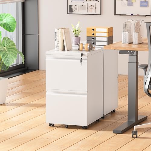 Superday 2 Drawer Metal Rolling File Cabinet with Lock, White E545765