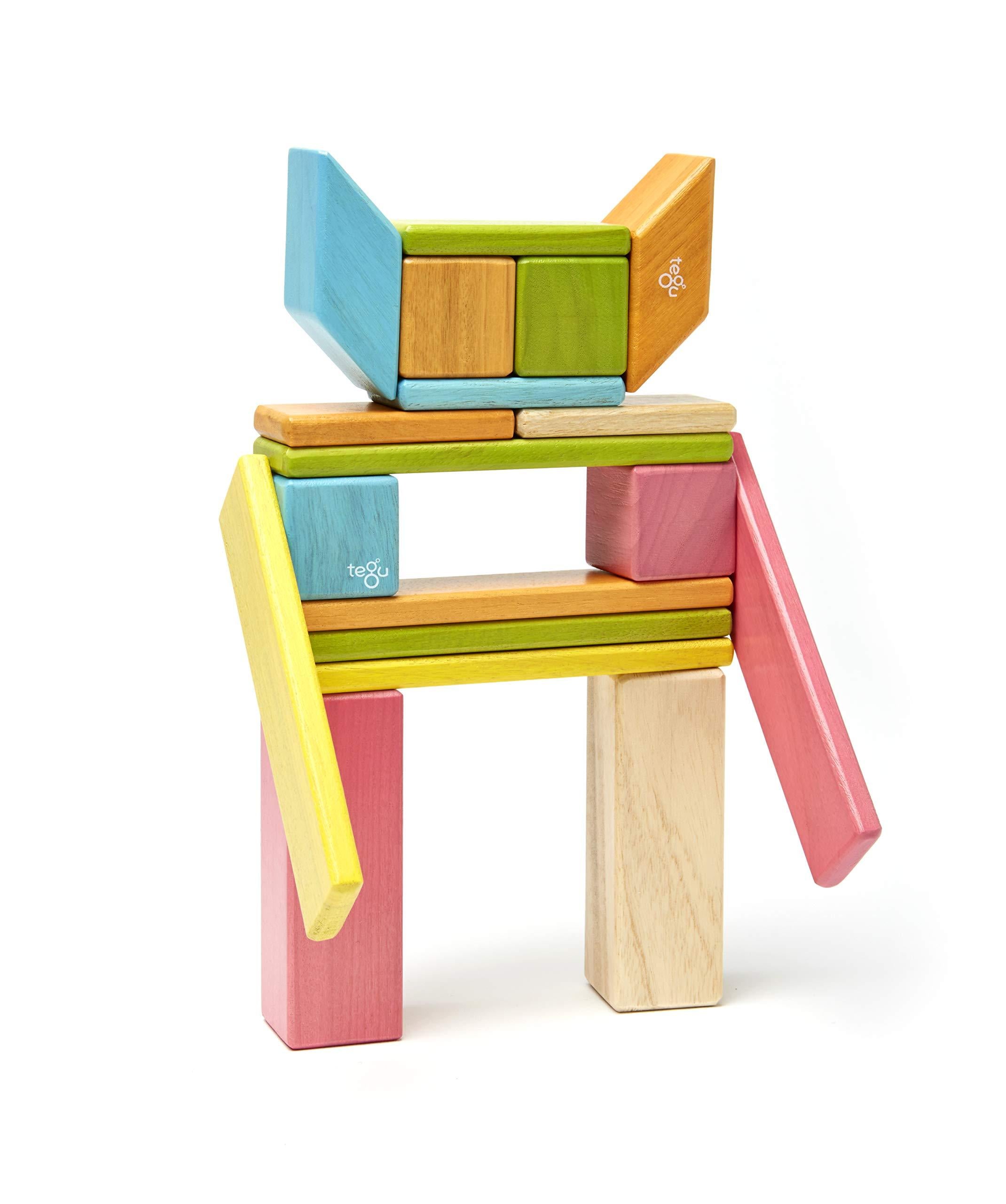 Tegu Magnetic Wooden Block Set, 24 Piece, Tints J9033