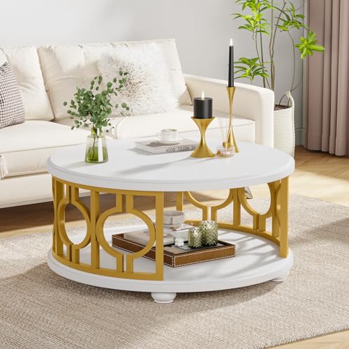 2-Tier Modern Round Coffee Table with Storage Shelf G2233