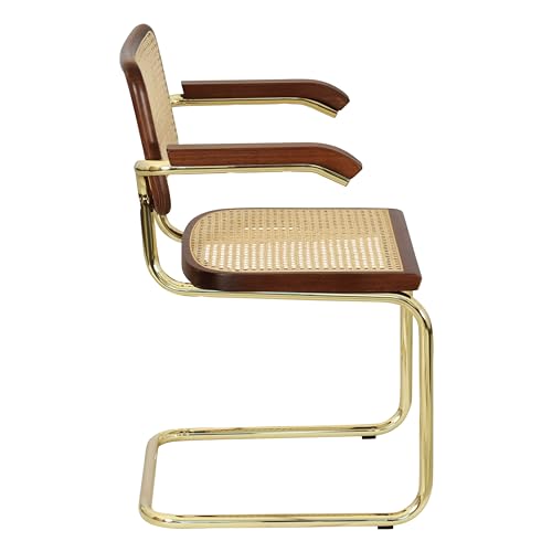 Cane Cantilever Armchair with Brass Steel Frame R937