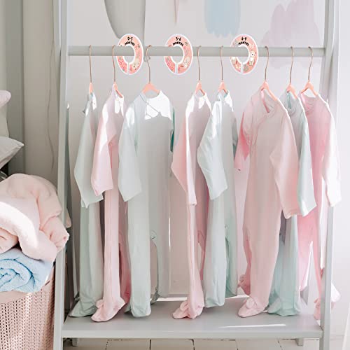 VIS'V 11 Inch Pink Velvet Kids Hangers with 6 Pcs Size Dividers, 30 Pack R91689