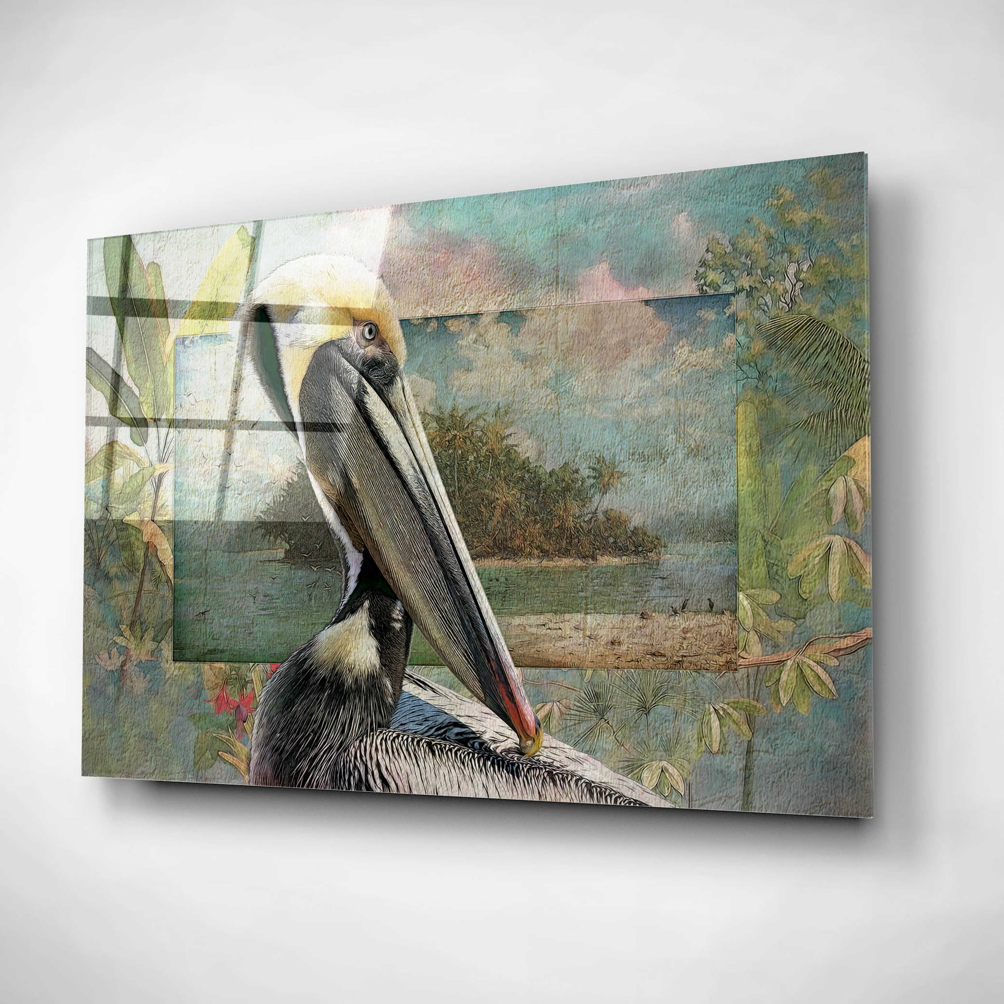 Epic Art 'Pelican Paradise II' by Steve Hunziker, Acrylic Glass Wall Art, 16"x12" T84252