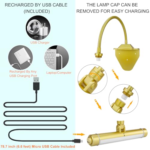 Rechargeable Clip on Picture Light with Timer, Dimmable LED Art Lamp W248562