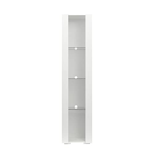 Modern 4-Shelves Display Cabinet with Clear Acrylic Door and LED Light C976