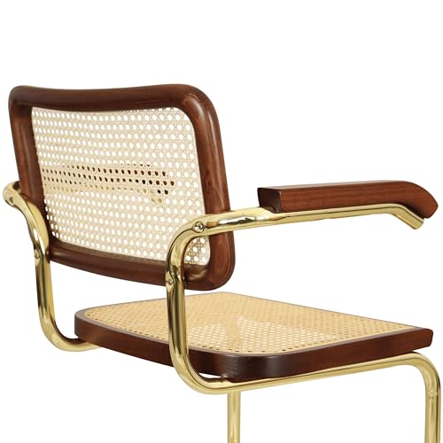 Cane Cantilever Armchair with Brass Steel Frame R937