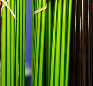Sage x Blanks | Fly Rod Blanks 4wt - 9&0x22