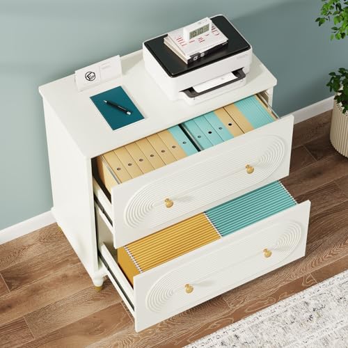 Tribesigns 2-Drawer File Cabinet for Home Office, Wooden Lateral Filing Cabinet with Gold Legs, Gray I537973