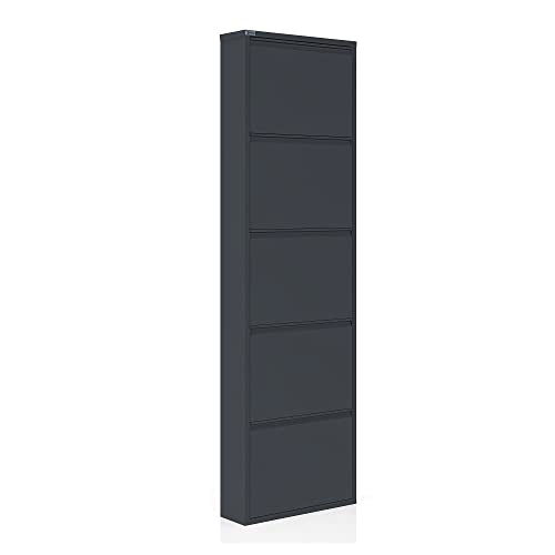 5 Tier Metal Shoe Cabinet with Cover, Durable Shoe Storage Organizer for Entryway, Space Saving Shoe Shelf Closet with Front Ventilation Holes, 5.91" x 66.5" x 19.68", Anthracite