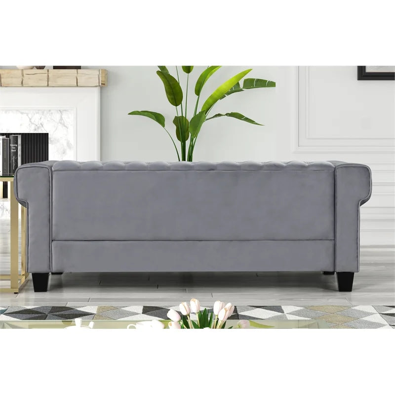 Rnfurnishings inc Arav 2-Piece Velvet Living Room Furniture Set - Gray P6242