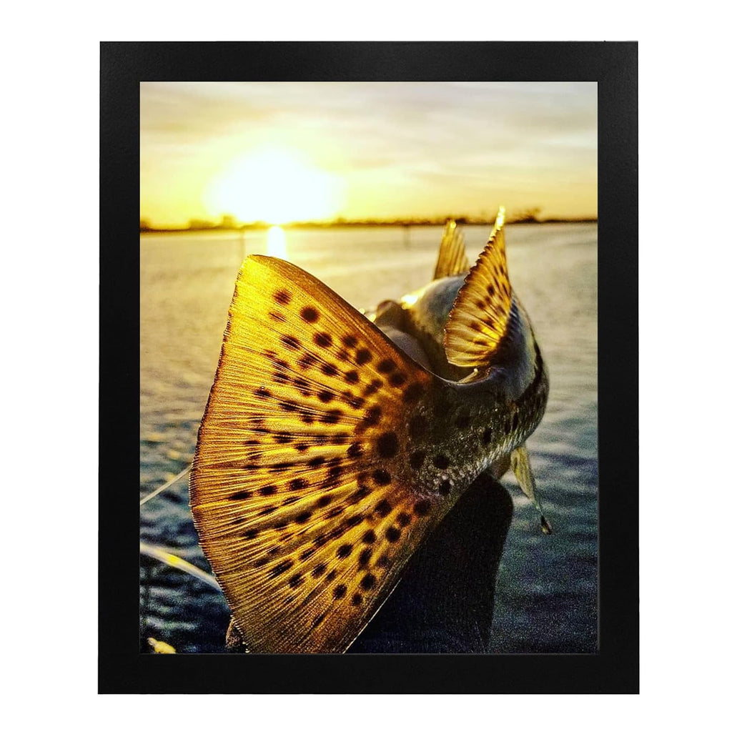 Speckled Sea Trout 18" Sunset Print, Unframed Fish Wall Art 8 x 10 N707