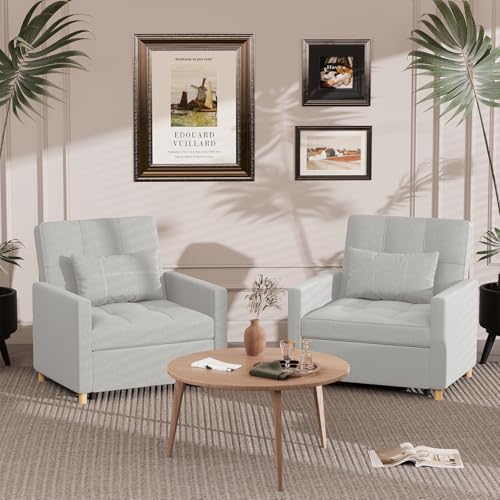 Esright Sleeper Chair 3-in-1 Convertible Sofa Bed with Throw Pillow, Light Grey V809