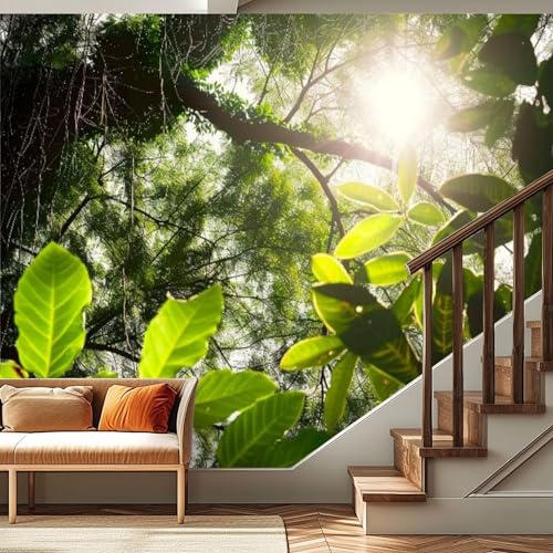 3D Wallpaper Sunshine Travelling Forest Nature Kirkland Self Adhesive Wall Mural Decor Sticker A195