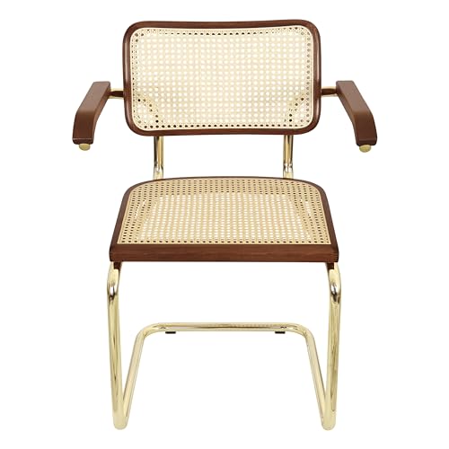 Cane Cantilever Armchair with Brass Steel Frame R937