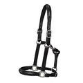 Dover Saddlery Classic Plain Raised Padded Halter, 5162317613, Black/Nickel
