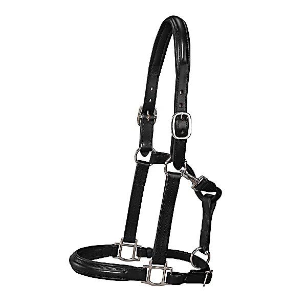 Dover Saddlery Classic Plain Raised Padded Halter, 5162317613, Black/Nickel