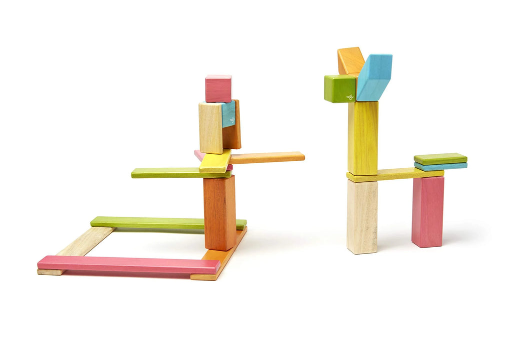 Tegu Magnetic Wooden Block Set, 24 Piece, Tints J9033