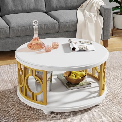 2-Tier Modern Round Coffee Table with Storage Shelf G2233