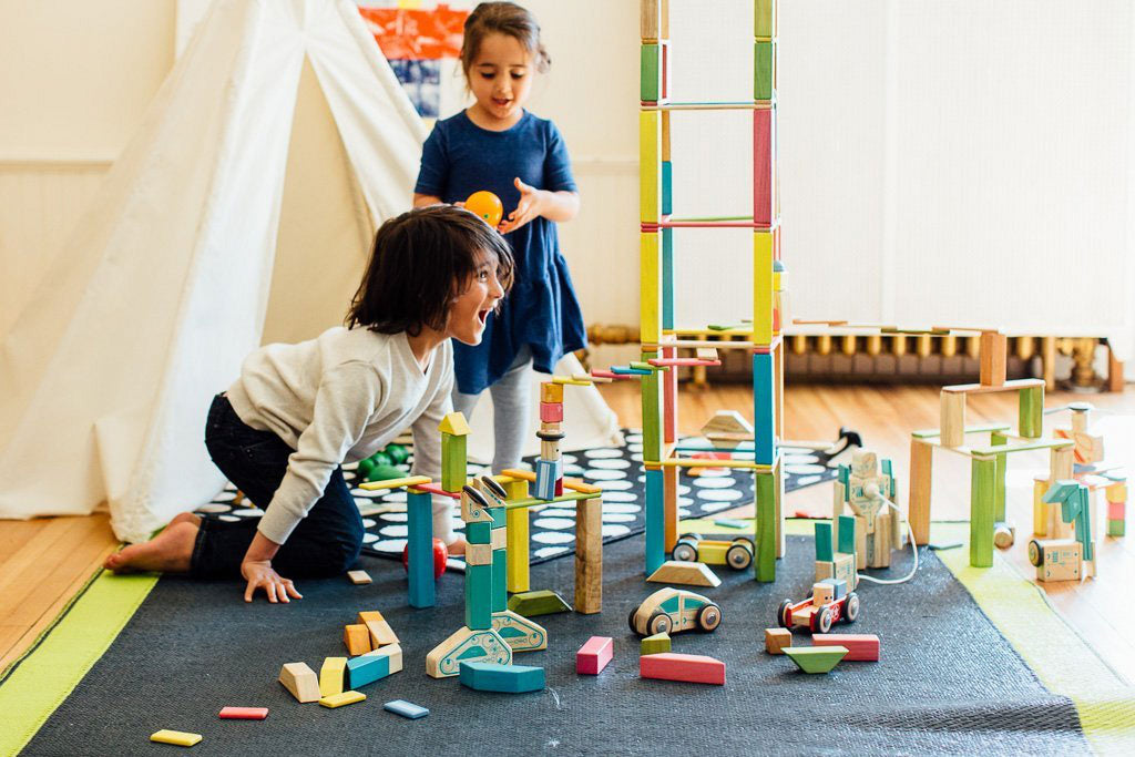 Tegu Magnetic Wooden Block Set, 24 Piece, Tints J9033