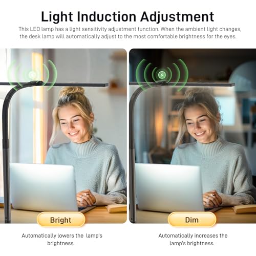LED Desk Lamp with Clamp, Double Head Architect Task Lamp, Stepless Dimming G651629