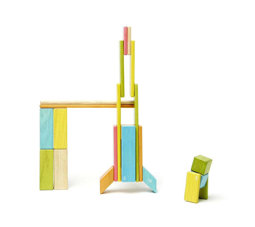 Tegu Magnetic Wooden Block Set, 24 Piece, Tints J9033
