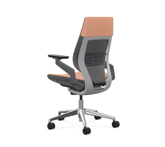Steelcase Gesture Office Chair with Graphite Fabric, Lumbar Support, Hard Floor Casters N577