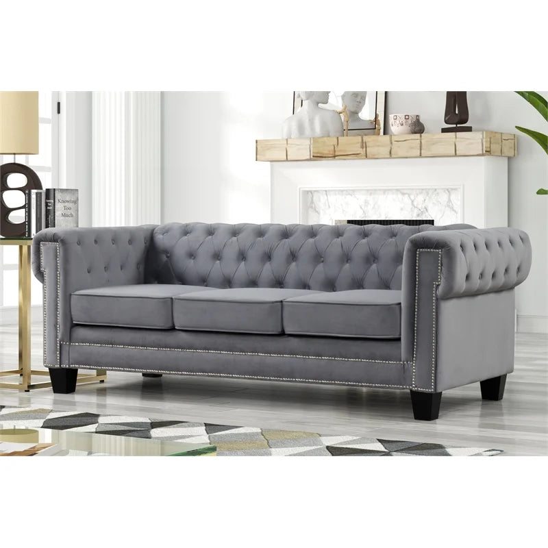Rnfurnishings inc Arav 2-Piece Velvet Living Room Furniture Set - Gray P6242