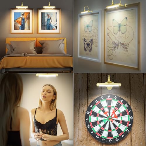 Rechargeable Clip on Picture Light with Timer, Dimmable LED Art Lamp W248562