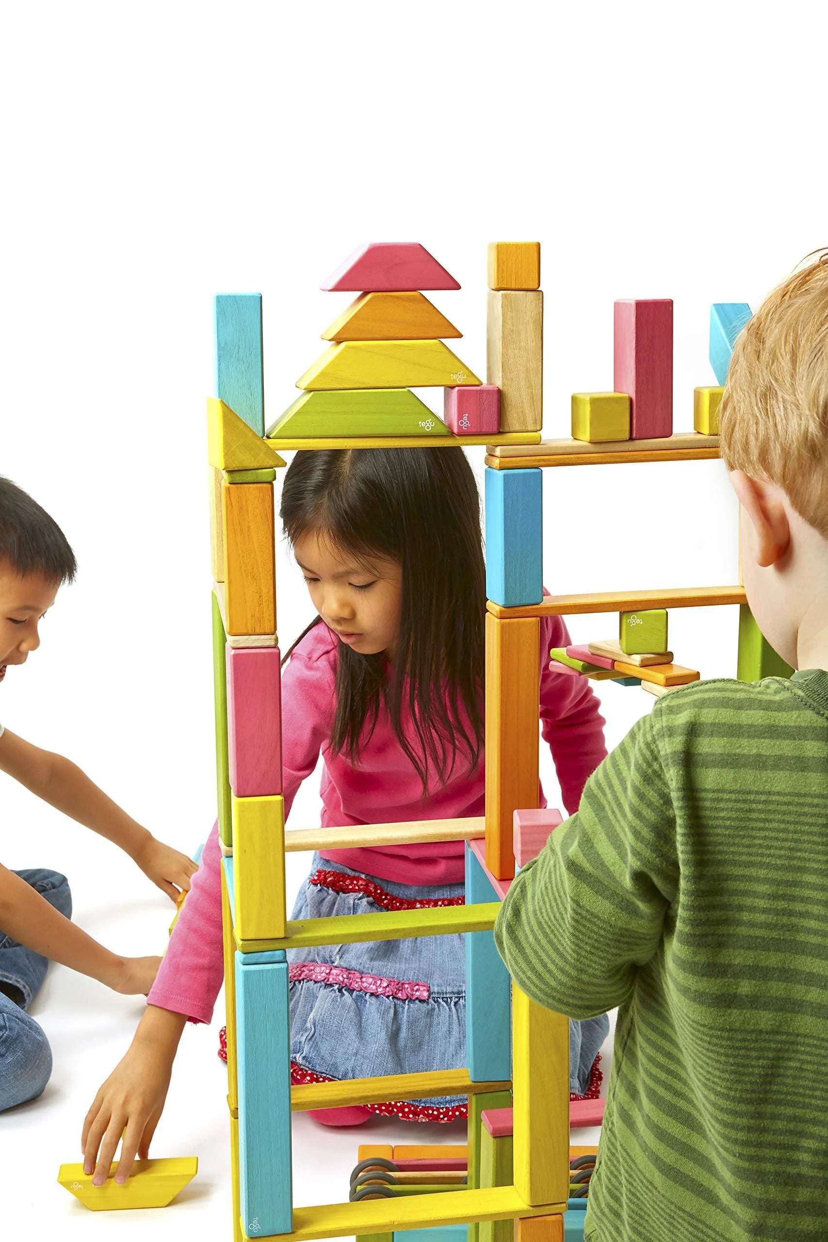 Tegu Magnetic Wooden Block Set, 24 Piece, Tints J9033