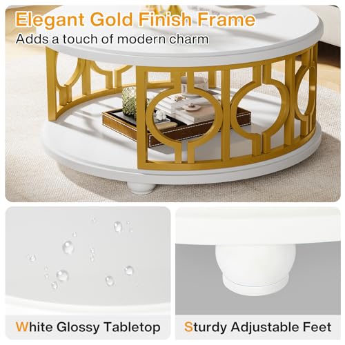 2-Tier Modern Round Coffee Table with Storage Shelf G2233