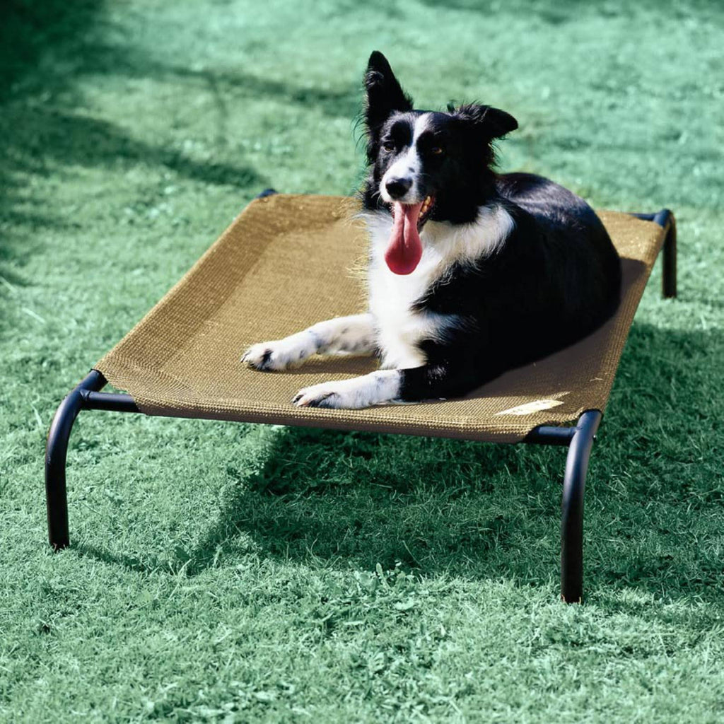 Coolaroo Elevated Large Pet Bed Desert Sand K69498
