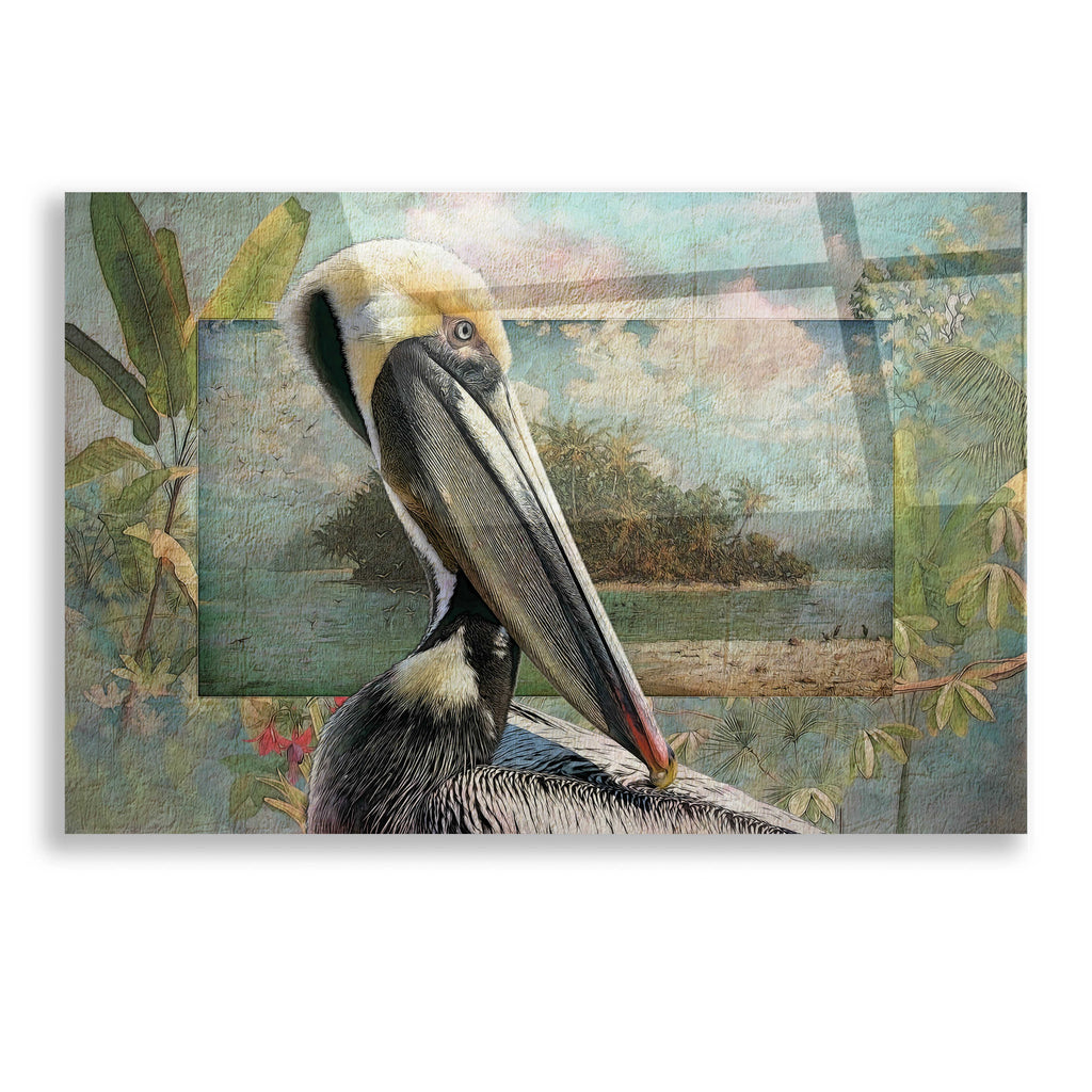 Epic Art 'Pelican Paradise II' by Steve Hunziker, Acrylic Glass Wall Art, 16"x12"