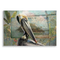 Epic Art 'Pelican Paradise II' by Steve Hunziker, Acrylic Glass Wall Art, 16"x12"