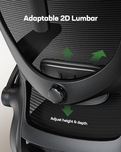 Marsail Ergonomic Office Chair with Adjustable Lumbar Support O788152