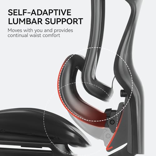 SIHOO Doro C300 Ergonomic Office Chair with 3D Armrests, Lumbar Support, Grey O604038
