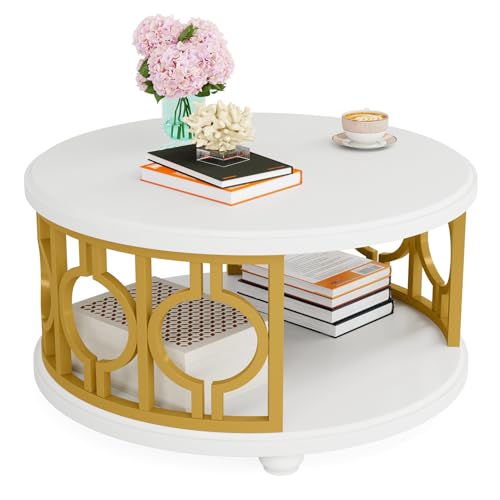 2-Tier Coffee Table, Modern Round Center Table with Storage Shelf for Living Room