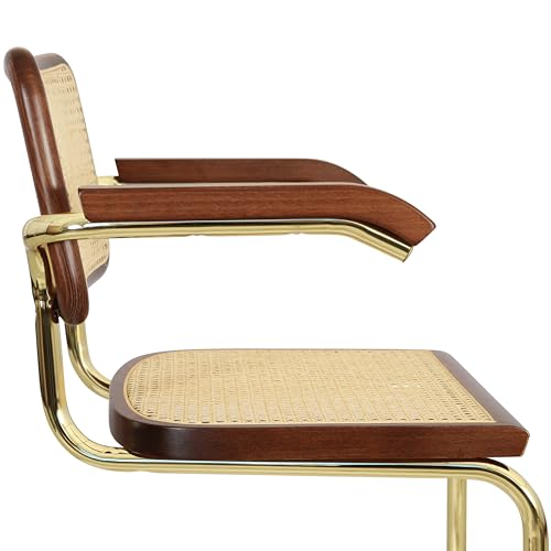 Cane Cantilever Armchair with Brass Steel Frame R937