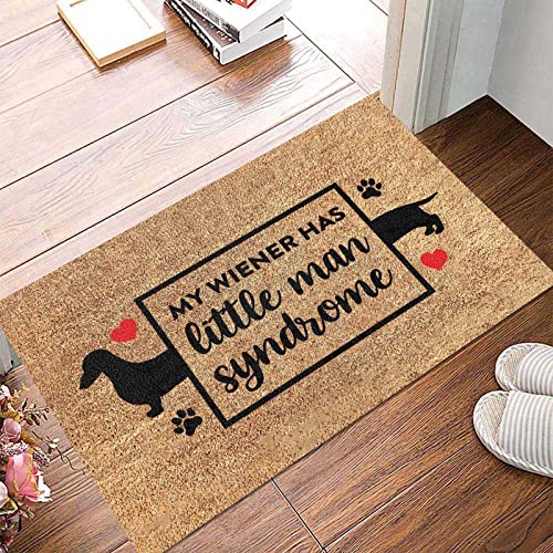 Funny Black Outdoor Door Mat for Entryway Porch L397710