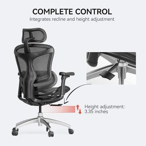 SIHOO Doro C300 Ergonomic Office Chair with 3D Armrests, Lumbar Support, Grey O604038