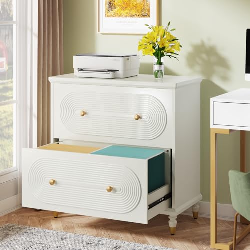 Tribesigns Modern File Cabinet for Home Office, 2-Drawer File Cabinet for A4/Letter Size/Legal Size Files, Wooden Office Filing Cabinets with Gold Legs, Lateral File Cabinets Printer Stand (Gray)