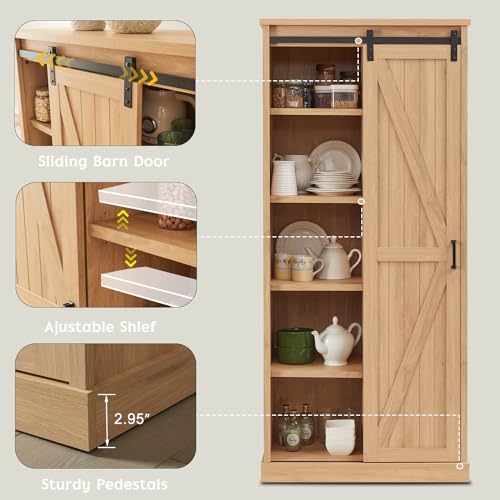 72" Farmhouse Kitchen Pantry with Sliding Barn Door, White B37295